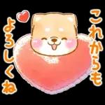 愛する人に感謝を送る❤️いやしばいぬ赤柴