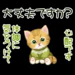 冬のキラキラおめめの子猫ちゃん