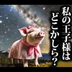 リアル☆メスブタ 3