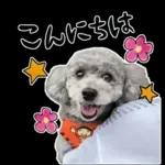 大人かわいい日常メッセージ?