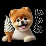 ずっと使える♡めちゃかわスイーツポメ