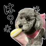 大人かわいい日常メッセージ?