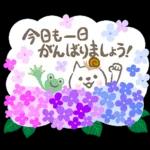 猫さん。梅雨・初夏のやさしいメッセージ