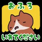 ねこの絵文字いっぱい😽💕