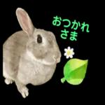 むーちゃんかわいこちゃんのスタンプ