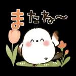 long tailed tit Rainyseason early summer