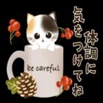 水彩♡ふわふわ♡秋の子猫