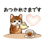 🐾子猫がぴょんぴょんダンス！