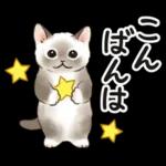 毎日☆猫たちのスタンプ