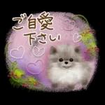 初夏の大人可愛い♡ゆる敬語