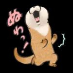 可愛い嘘のカワウソ