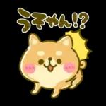 ゆるっとかわいい日常メッセージ☆