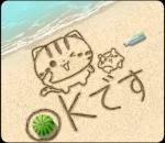 夏も飛び出す♪ ネコちゃん ハムちゃん