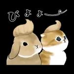 ずっとあなたを守ります😊😊😊