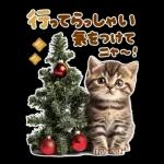 大きく表示♡冬にゃんこ