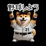 リアル野球しば犬