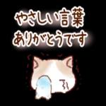 いつもありがとうございます