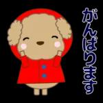 🐶犬の冒険物語