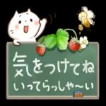 ほんわかさん【毎日便利_冬とお花】