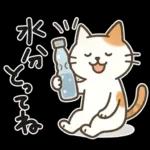 猫ちゃんとスイーツと夏