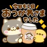 秋に役立つ♡豆柴日和
