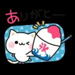 気づかいのできるネコ♪夏・梅雨編