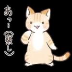 スナネコのサシャ 2