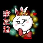 高貴な小さなクマ🐻～