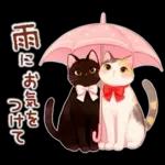 黒猫のつめあわせ♪