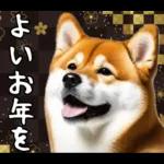 柴犬のあけおめスタンプ