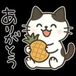 猫ちゃんとスイーツと夏