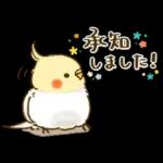 敬語が話せる！もふもふインコ