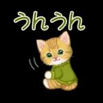 冬のキラキラおめめの子猫ちゃん