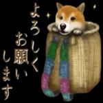 さすが！柴犬（よく使う言葉編２）