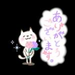 猫さん。梅雨・初夏のやさしいメッセージ