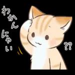 スナネコのサシャ 2