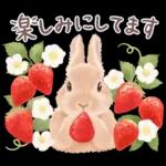 めっちゃ可愛い🫣🫣🫣