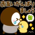 ぺんぺんの春❤️