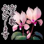 毎日使える お花 敬語✿大人上品お花