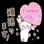 可愛いウサギ🐰からのメッセージ