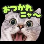 可愛い猫スタンプ！！