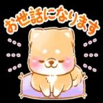 癒しい犬の会話スタンプ