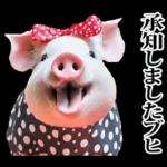 リアル☆メスブタ 3