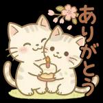 体調気遣い☆猫たちのスタンプ