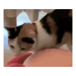 気持ちが伝わる日常メッセージ☆