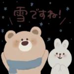 こころにグッとするクマさんです🧸