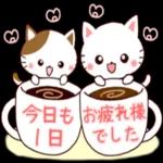 かわいい猫😺が来ますよ！