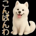 白いモフモフ～その名はサモエド！２