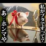 リアル☆メスブタ 3