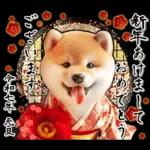 柴犬と白蛇の幸運あけおめスタンプ♡
